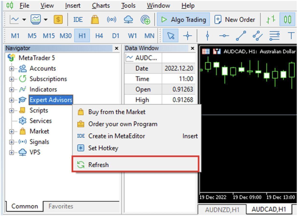 MetaTrader Integration - Screenshot 2024 06 19 at 9.48.03 AM